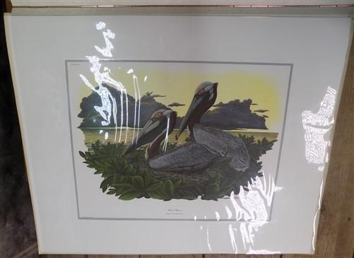 Richard Sloan Original Lithograph Folio, 41 Matted North American Bird Plates C,