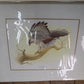 Richard Sloan Original Lithograph Folio, 41 Matted North American Bird Plates C,