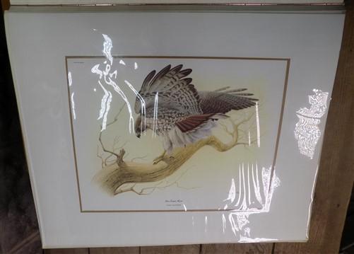 Richard Sloan Original Lithograph Folio, 41 Matted North American Bird Plates C,