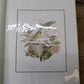 Richard Sloan Original Lithograph Folio, 41 Matted North American Bird Plates C,