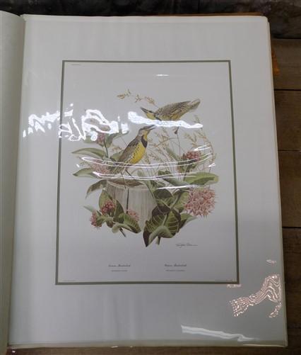 Richard Sloan Original Lithograph Folio, 41 Matted North American Bird Plates C,