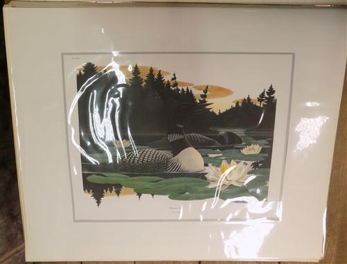 Richard Sloan Original Lithograph Folio, 41 Matted North American Bird Plates C,