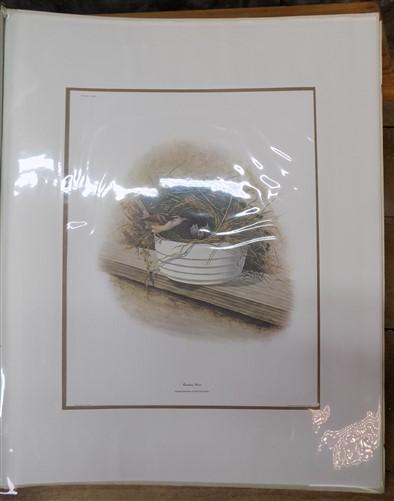 Richard Sloan Original Lithograph Folio, 41 Matted North American Bird Plates C,