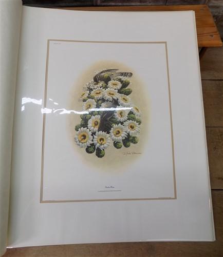 Richard Sloan Original Lithograph Folio, 30 Matted North American Bird Plates D,