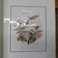 Richard Sloan Original Lithograph Folio, 30 Matted North American Bird Plates D,