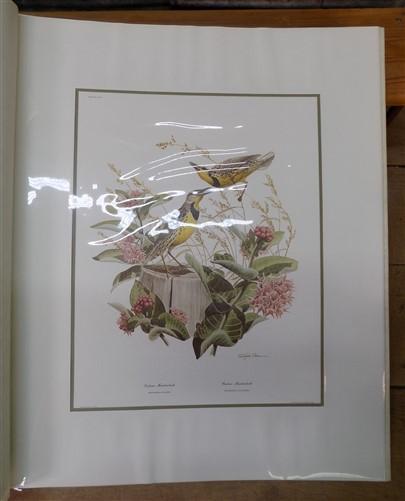 Richard Sloan Original Lithograph Folio, 30 Matted North American Bird Plates D,