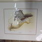 Richard Sloan Original Lithograph Folio, 30 Matted North American Bird Plates D,