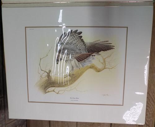 Richard Sloan Original Lithograph Folio, 30 Matted North American Bird Plates D,