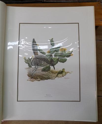 Richard Sloan Original Lithograph Folio, 30 Matted North American Bird Plates D,