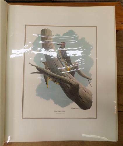 Richard Sloan Original Lithograph Folio, 30 Matted North American Bird Plates D,