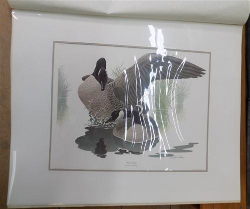 Richard Sloan Original Lithograph Folio, 30 Matted North American Bird Plates D,