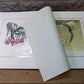 Richard Sloan Original Lithograph Folio, 29 Matted North American Bird Plates E,