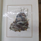 Richard Sloan Original Lithograph Folio, 29 Matted North American Bird Plates E,