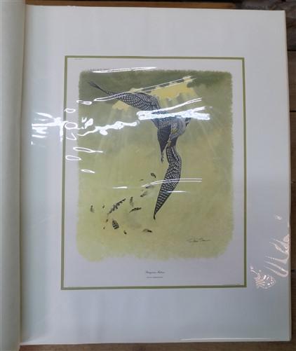 Richard Sloan Original Lithograph Folio, 29 Matted North American Bird Plates E,