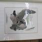 Richard Sloan Original Lithograph Folio, 29 Matted North American Bird Plates E,