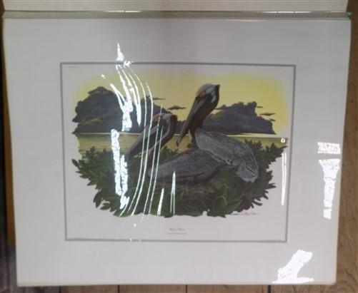 Richard Sloan Original Lithograph Folio, 29 Matted North American Bird Plates E,