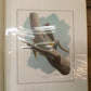 Richard Sloan Original Lithograph Folio, 29 Matted North American Bird Plates E,