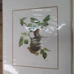 Richard Sloan Original Lithograph Folio, 29 Matted North American Bird Plates E,