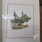 Richard Sloan Original Lithograph Folio, 29 Matted North American Bird Plates E,