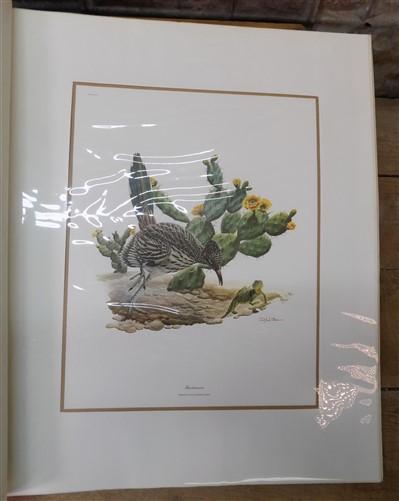 Richard Sloan Original Lithograph Folio, 29 Matted North American Bird Plates E,