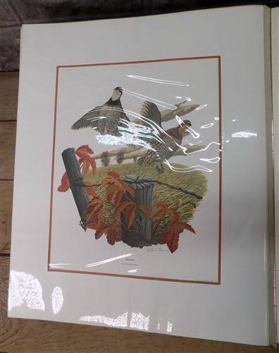 Richard Sloan Original Lithograph Folio, 29 Matted North American Bird Plates E,