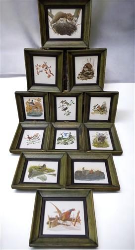 12 Miniature 4x5 Richard Sloan Framed North American Bird Prints, Nature House,