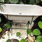 Vintage Hungarian Porcelain Baby Bath Tub w/Stand, Farmhouse Garden Planter A12,