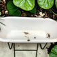 Vintage Hungarian Porcelain Baby Bath Tub w/Stand, Farmhouse Garden Planter A12,