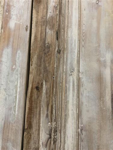 Antique French Double Doors (43.5x99) European Doors, Raised Panel Doors A521