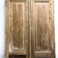 Antique French Double Doors (41x95) European Doors, Raised Panel Doors  A540