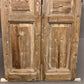 Antique French Double Doors (36.5x92.5) European Doors, Raised Panel Doors A574