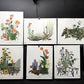 10 Maryrose Wampler Signed Prints, 28x22 Wade Collection Lithograph Plates 21-30