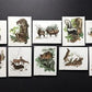 10 Richard Timm Signed Prints, 28x22 Wade Collection Lithograph Plates 1-10