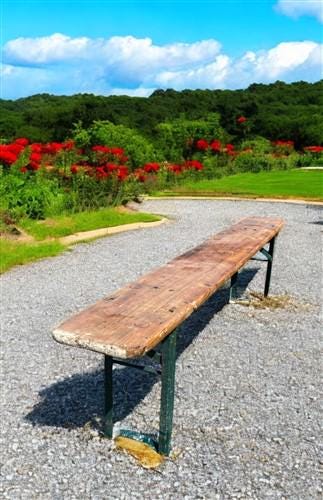 Stained Vintage German Beer Garden Bench Portable Industrial Wood Bench Seat B44