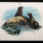 10 Richard Timm Signed Prints, 28x22 Wade Collection Lithograph Plates 31-40