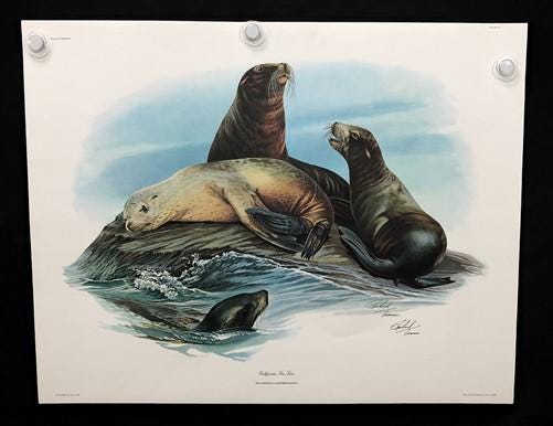 10 Richard Timm Signed Prints, 28x22 Wade Collection Lithograph Plates 31-40