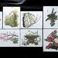 10 Maryrose Wampler Signed Prints, 28x22 Wade Collection Lithograph Plates 11-20