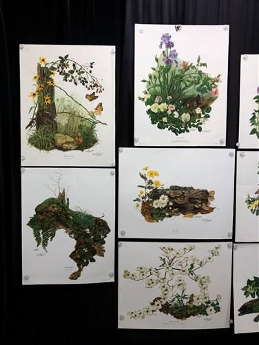 10 Maryrose Wampler Signed Prints, 28x22 Wade Collection Lithograph Plates 1-10