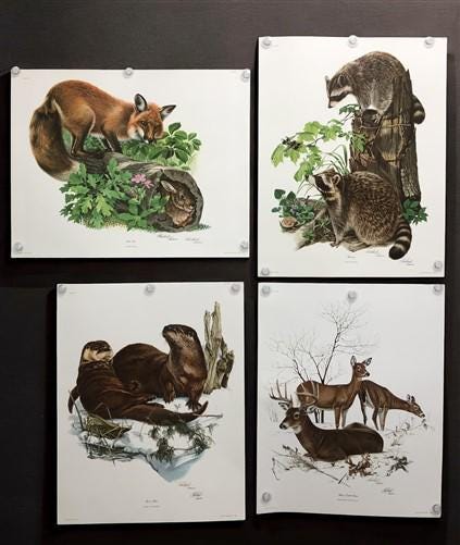 10 Richard Timm Signed Prints, 28x22 Wade Collection Lithograph Plates 1-10