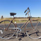 1957 Chicago Schwinn Bicycle, Brown 3 Speed World Tourist Bike, Serial# 2006343