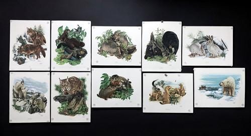 10 Richard Timm Signed Prints, 28x22 Wade Collection Lithograph Plates 21-30