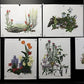 10 Maryrose Wampler Signed Prints, 28x22 Wade Collection Lithograph Plates 21-30