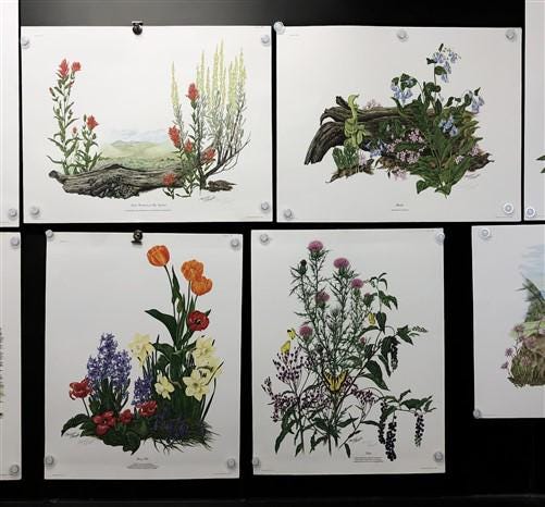 10 Maryrose Wampler Signed Prints, 28x22 Wade Collection Lithograph Plates 21-30