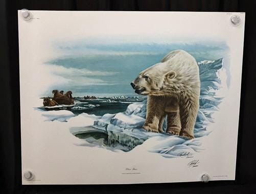 10 Richard Timm Signed Prints, 28x22 Wade Collection Lithograph Plates 21-30