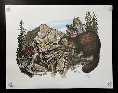 10 Richard Timm Signed Prints, 28x22 Wade Collection Lithograph Plates 31-40