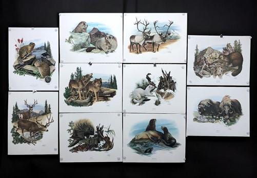 10 Richard Timm Signed Prints, 28x22 Wade Collection Lithograph Plates 31-40