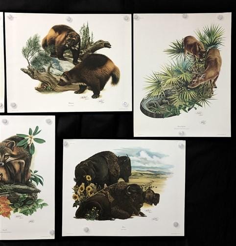 10 Richard Timm Signed Prints, 28x22 Wade Collection Lithograph Plates 11-20