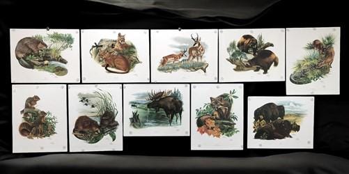 10 Richard Timm Signed Prints, 28x22 Wade Collection Lithograph Plates 11-20