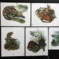 10 Richard Timm Signed Prints, 28x22 Wade Collection Lithograph Plates 11-20