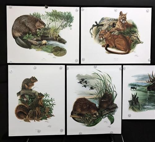 10 Richard Timm Signed Prints, 28x22 Wade Collection Lithograph Plates 11-20